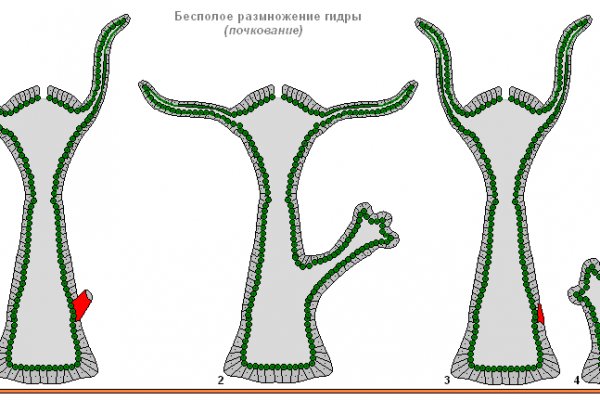 Кракен сайт 18at