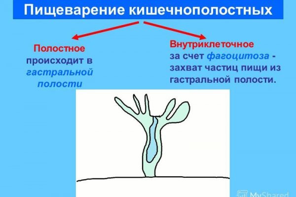 Кракен не работает сегодня